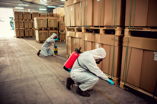 Professional Pest Control in Holdenville, OK