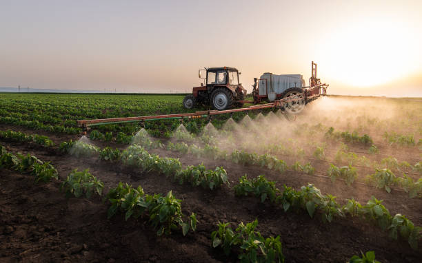 Best Pest Inspection Near Me  in Holdenville, OK