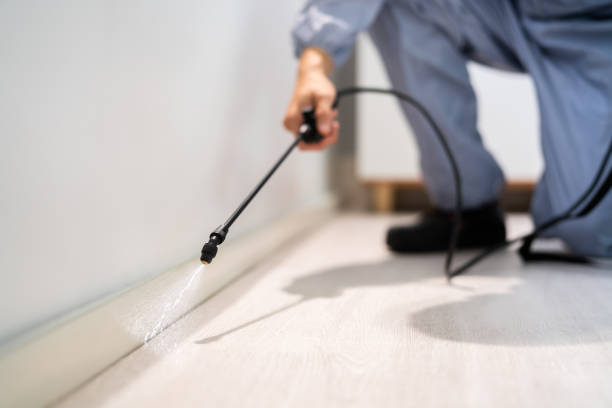 Best Pest Removal Services  in Holdenville, OK