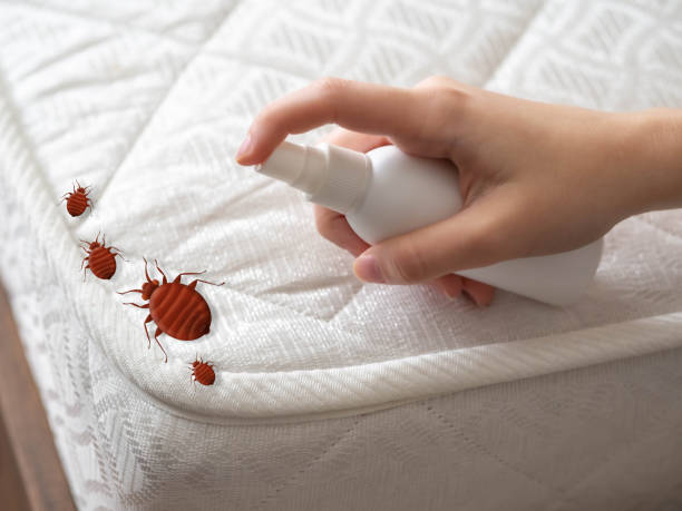 Best Affordable Pest Control Services  in Holdenville, OK