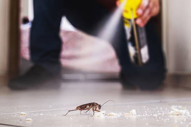Best Exterminator Services  in Holdenville, OK