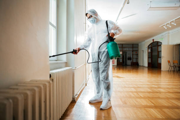 Best Ant Control Services  in Holdenville, OK