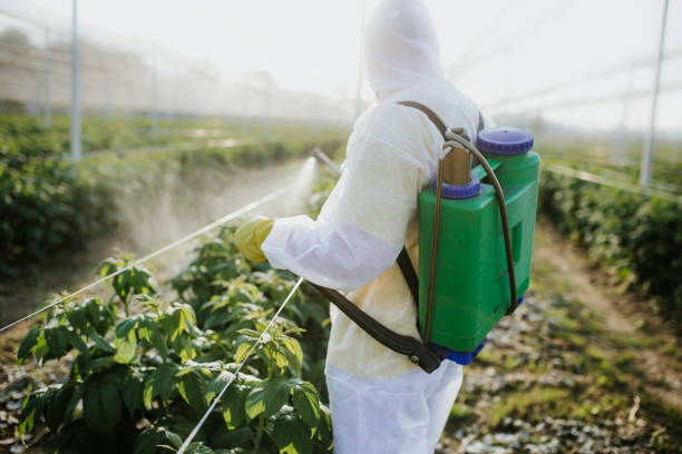 Best Termite Control Services  in Holdenville, OK